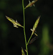 IMG_1560