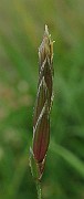 IMG_4865