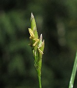 IMG_9003