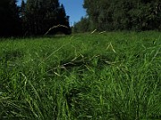 IMG_9015