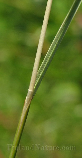 IMG_4742.jpg