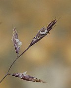 IMG_6739