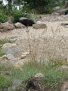 IMG_6742