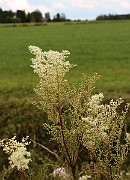IMG_0488