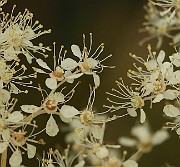 IMG_0491