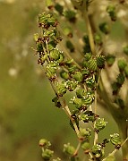 IMG_0494