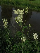 IMG_3766