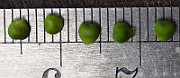 IMG_2922
