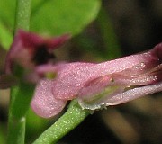 IMG_3724b