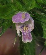 IMG_5566