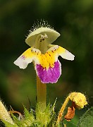 IMG_5873