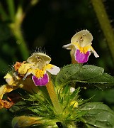 IMG_5874