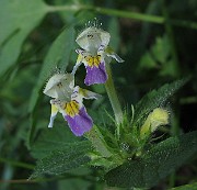 IMG_8873