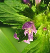 IMG_8024