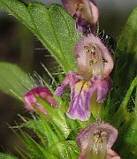 IMG_8028