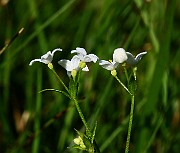 IMG_1627