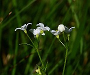 IMG_1628