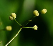 IMG_1636
