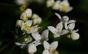 IMG_1639
