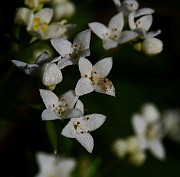IMG_1640
