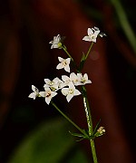 IMG_1644