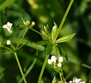 IMG_1646