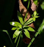IMG_1647