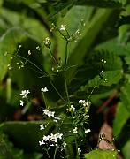 IMG_1648