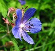IMG_3292