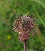 IMG_6339
