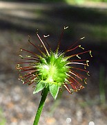 IMG_3609