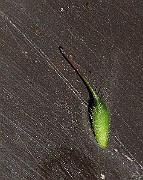 IMG_3617