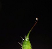 IMG_3618
