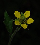 IMG_3620