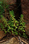 IMG_0644