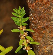 IMG_0648