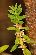 IMG_0649