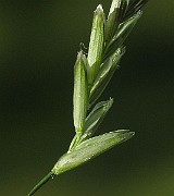 IMG_1592
