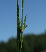 IMG_4645