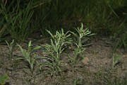 IMG_0025