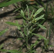 IMG_0027