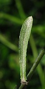 IMG_3862