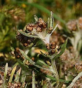 IMG_5791