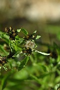 IMG_9546