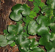 IMG_3303b