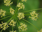 IMG_3788