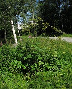 IMG_8039