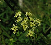 IMG_8049