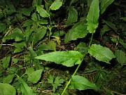 IMG_7549