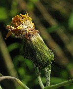 IMG_5301